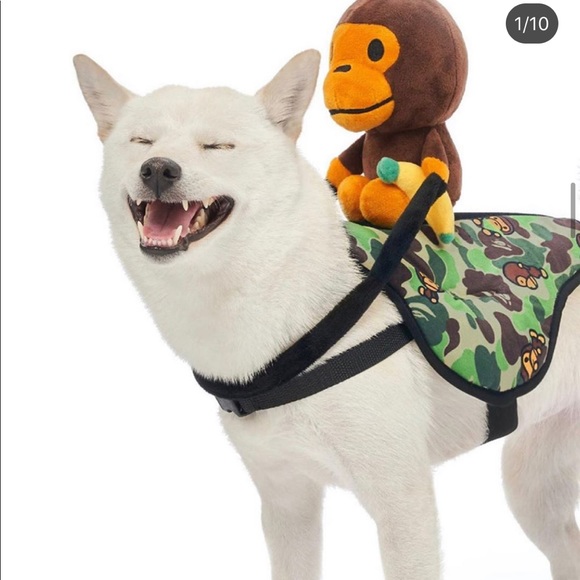 Meet your Posher, Mitchell - Picture 1 of 1